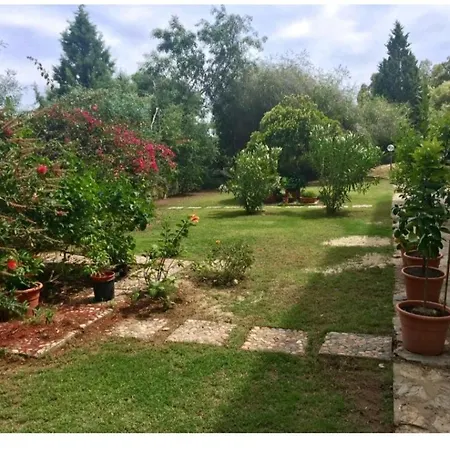 Rock House * 福特村